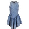 Denim Flare Mini Dress